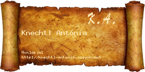 Knechtl Antónia névjegykártya